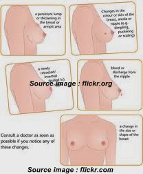 are breast genital organs Taboos on sex